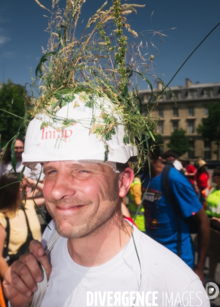 Manifestation des archeologues