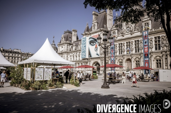 Végétalisation du parvis de l’Hotel de Ville