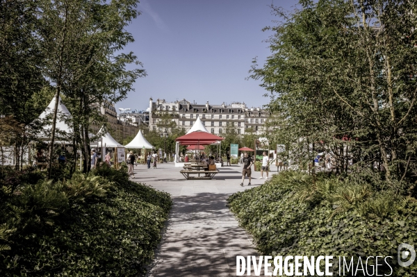 Végétalisation du parvis de l’Hotel de Ville