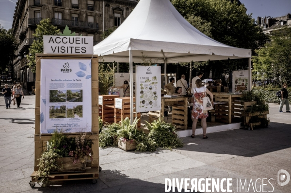 Végétalisation du parvis de l’Hotel de Ville
