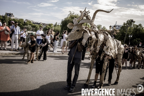 Fête de la musique.