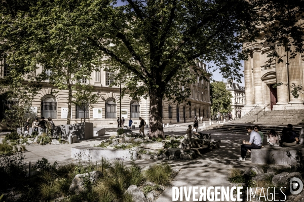 Jardin en hommage aux victimes des attentats du 13 novembre 2015
