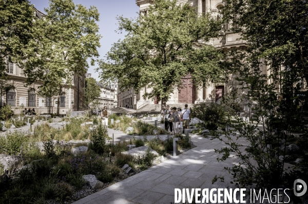 Jardin en hommage aux victimes des attentats du 13 novembre 2015