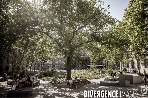 Jardin en hommage aux victimes des attentats du 13 novembre 2015