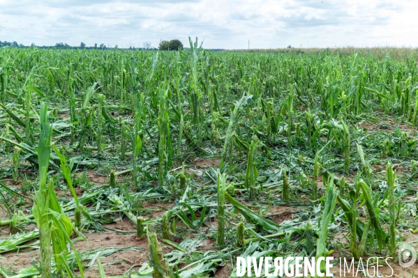Le clocher de l’église de Valailles arraché par l’orage