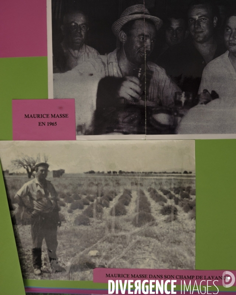 L ovni de valensole