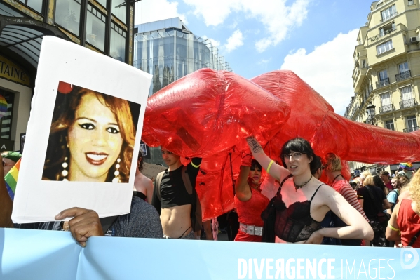 Marche des fiertés 2025. Gay Pride 2025, à Paris.