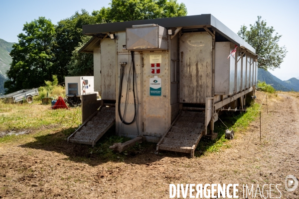 Le fromage dans le Massif des Bauges.