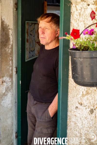 Le fromage dans le Massif des Bauges.