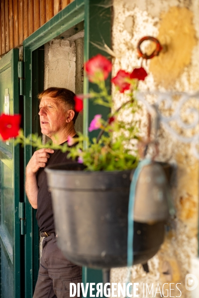 Le fromage dans le Massif des Bauges.