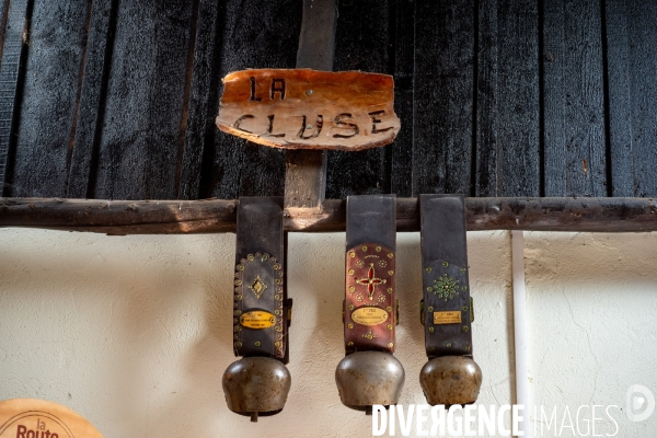 Le fromage dans le Massif des Bauges.