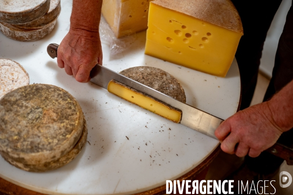 Le fromage dans le Massif des Bauges.