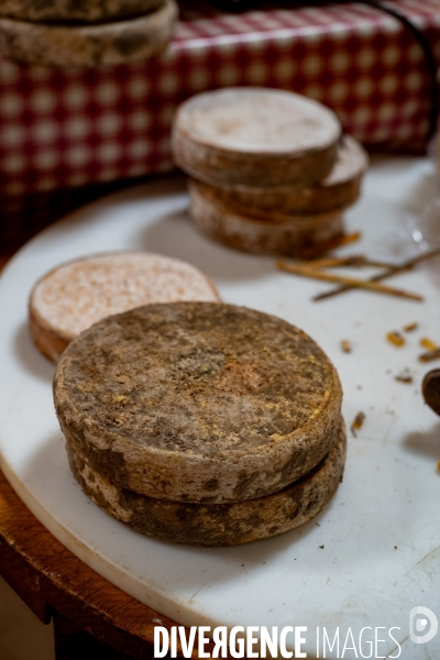 Le fromage dans le Massif des Bauges.