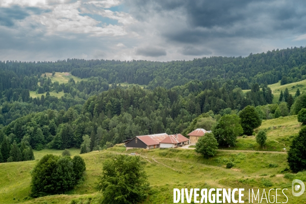 Le fromage dans le Massif des Bauges.