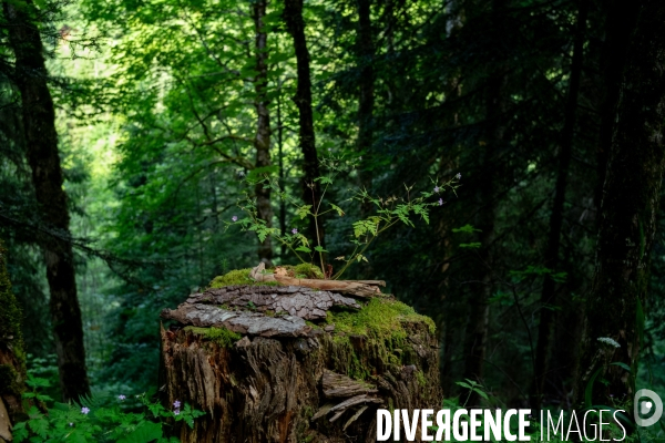 Randonnée dans le massif des Bauges