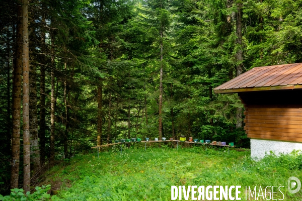 Randonnée dans le massif des Bauges