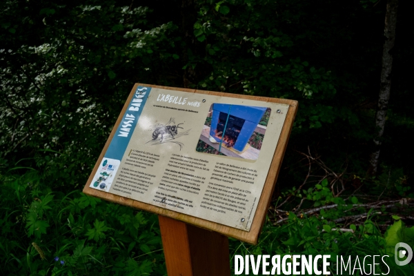 Randonnée dans le massif des Bauges