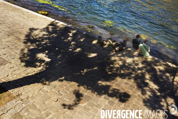 Canicule sur les quais de Seine