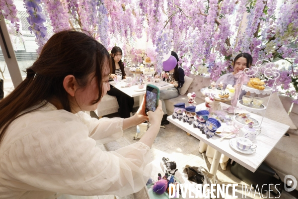 Haute couture cafe omotesando tokyo