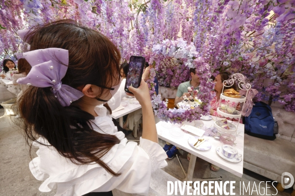 Haute couture cafe omotesando tokyo