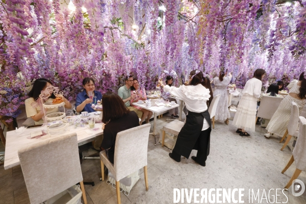 Haute couture cafe omotesando tokyo