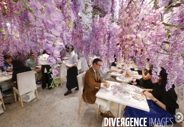 Haute couture cafe omotesando tokyo