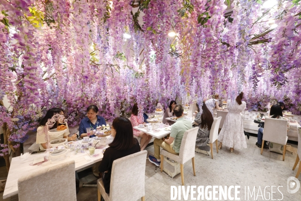 Haute couture cafe omotesando tokyo