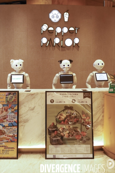 Pepper parlor le restaurant des robots pepper a tokyo