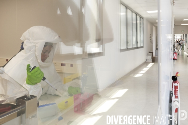 Centre national de reference des Arbovirus (CNR)