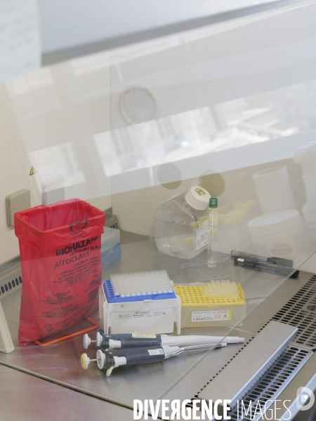 Centre national de reference des Arbovirus (CNR)