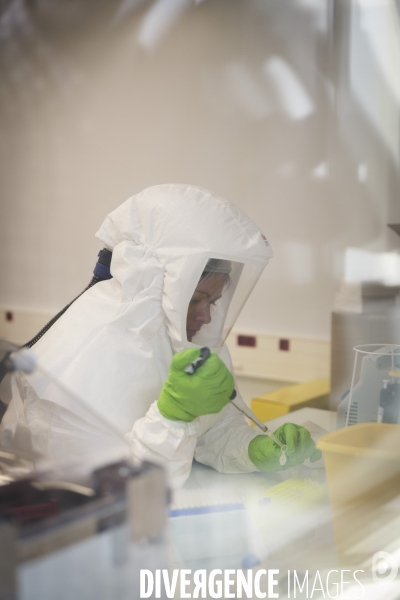 Centre national de reference des Arbovirus (CNR)