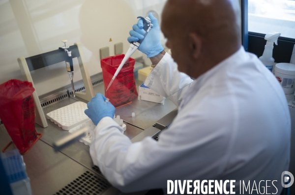 Centre national de reference des Arbovirus (CNR)