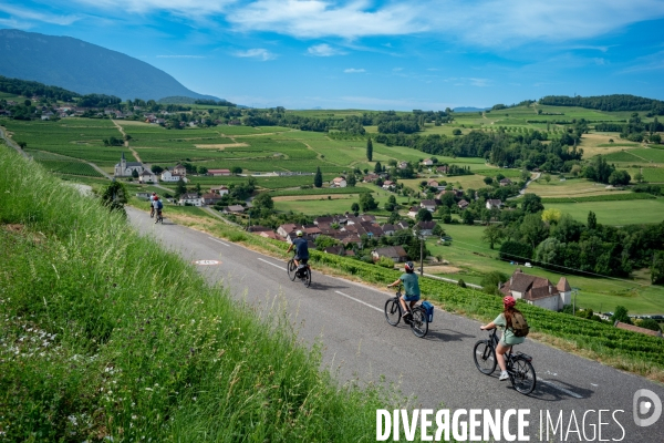 Balade en Vélo Electrique