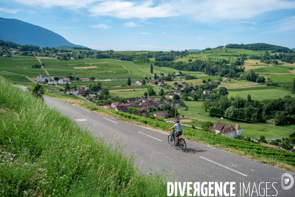 Balade en Vélo Electrique