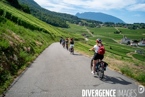 Balade en Vélo Electrique