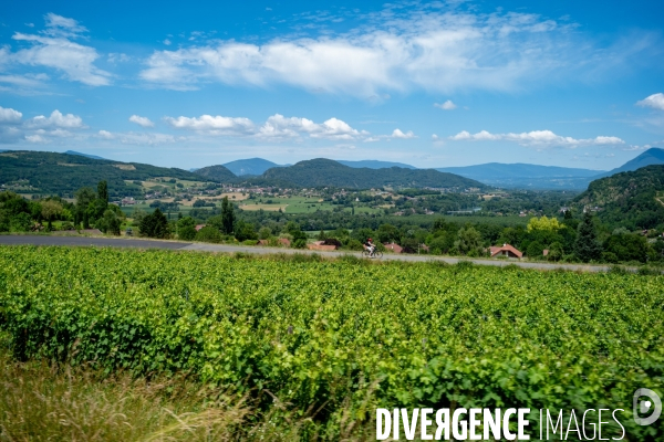 Balade en Vélo Electrique