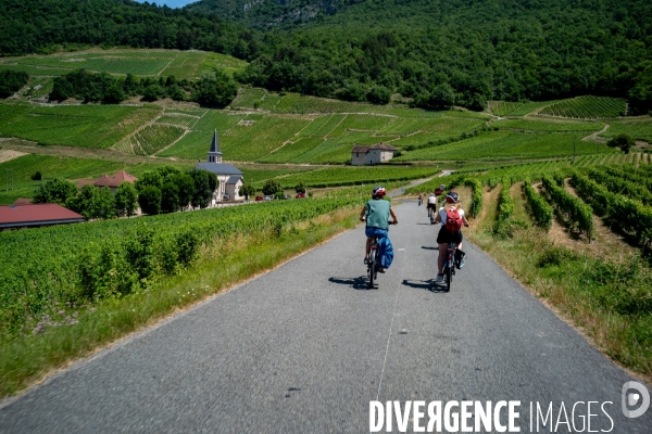 Balade en Vélo Electrique