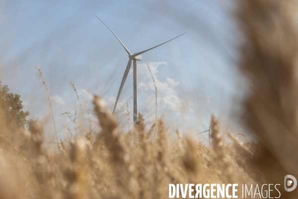 Eoliennes dans le flou