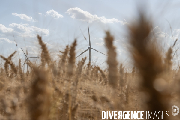 Eoliennes dans le flou