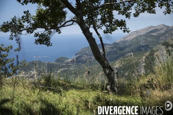 Montenegro (juillet 2025)