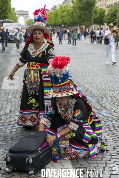 L  Amazonie : Theme du 25e Carnaval Tropical de Paris