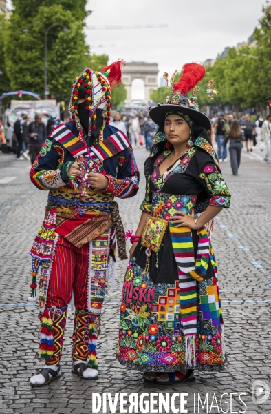 L  Amazonie : Theme du 25e Carnaval Tropical de Paris