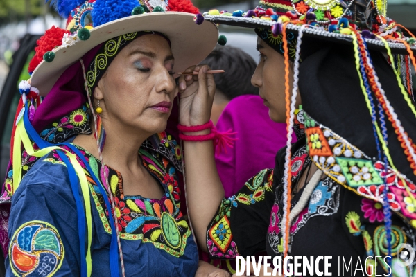 L  Amazonie : Theme du 25e Carnaval Tropical de Paris