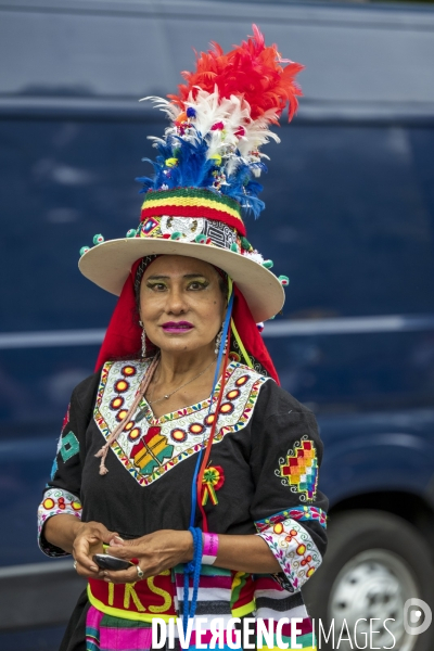 L  Amazonie : Theme du 25e Carnaval Tropical de Paris