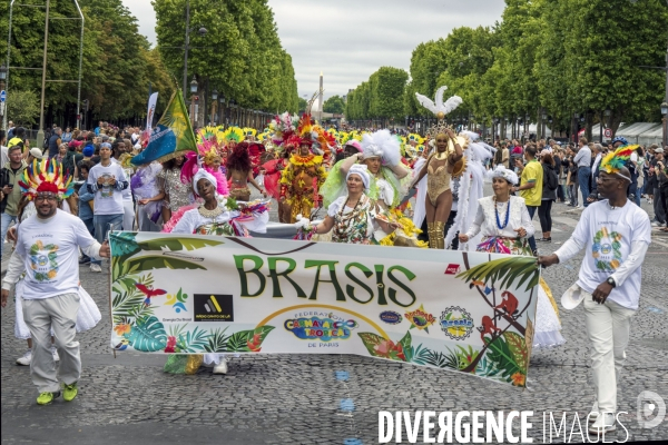 L  Amazonie : Theme du 25e Carnaval Tropical de Paris