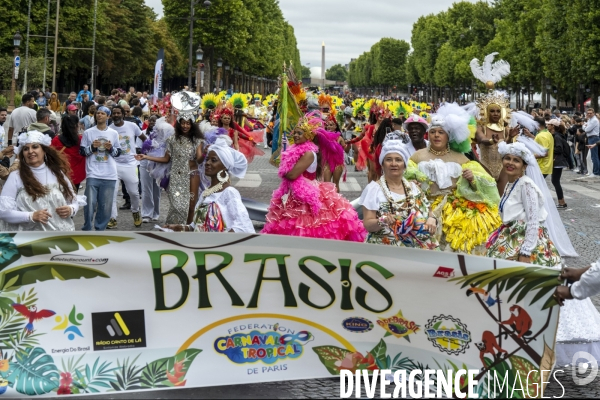 L  Amazonie : Theme du 25e Carnaval Tropical de Paris