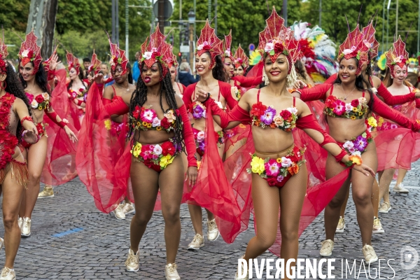 L  Amazonie : Theme du 25e Carnaval Tropical de Paris