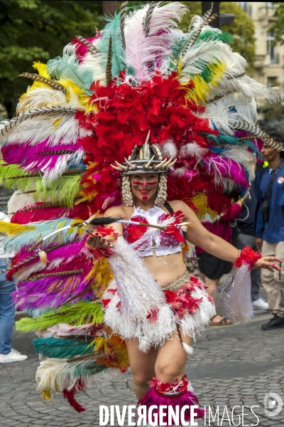 L  Amazonie : Theme du 25e Carnaval Tropical de Paris