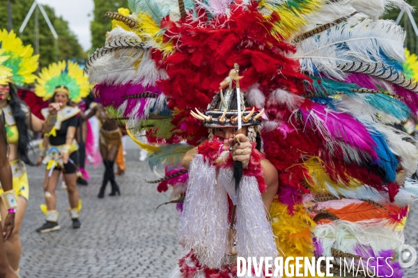 L  Amazonie : Theme du 25e Carnaval Tropical de Paris