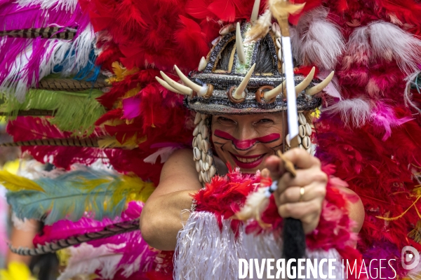 L  Amazonie : Theme du 25e Carnaval Tropical de Paris